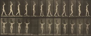 Plate nummer 34. Går og bærer en 15-lb. kurv på hodet, hendene hevet av Eadweard Muybridge