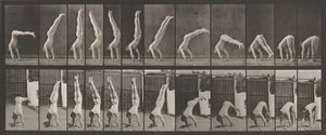  av Eadweard Muybridge