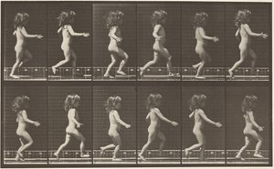  av Eadweard Muybridge