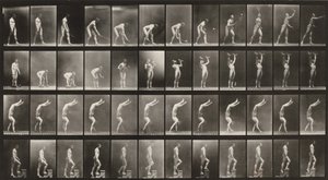 Tavle nummer 488. A: Gresstennis. B: Hantler. C: Gå på hendene. D: Gå opp trapper av Eadweard Muybridge