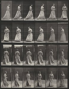 Tavle nummer 48. Gå og snu seg rundt med en bukett i begge hender av Eadweard Muybridge