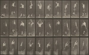 Plate nummer 504. Opp- og nedtrapper av Eadweard Muybridge