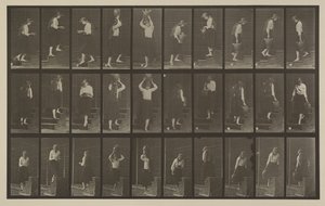 Plate nummer 504. Opp- og nedtrapper av Eadweard Muybridge