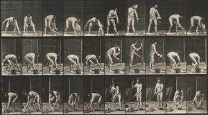  av Eadweard Muybridge