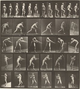 Plate nummer 521. A: Gående. B: Stigende trinn. C. Kasteskive. D: Bruker spade. E, F. Ved hjelp av pick av Eadweard Muybridge