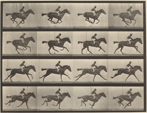 Plate nummer 626. Galopp, fullblods brun hoppe, Annie G. av Eadweard Muybridge