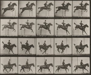 Tavle nummer 637. «Daisy» hopper over et hinder, sadlet, under passeringen, landingen og restitusjonen av Eadweard Muybridge