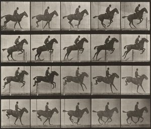 Plate nummer 639. «Daisy» hopper over en hindring, sadlet av Eadweard Muybridge