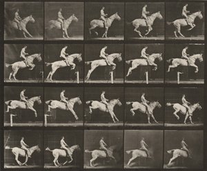 Plate nummer 642. «Pandora» hopper over en hindring, sadlet; rytter naken av Eadweard Muybridge