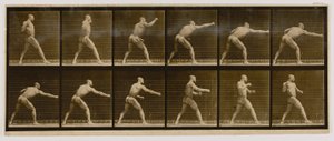  av Eadweard Muybridge