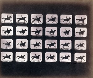 Running (Galloping) av Eadweard J. Muybridge av Eadweard Muybridge