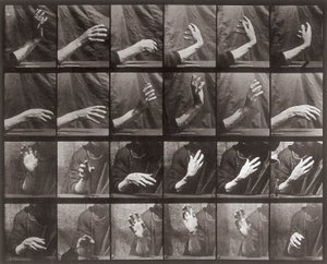 Sekvens med håndbevegelse, plate 535 fra Animal Locomotion (kollotype) av Eadweard Muybridge