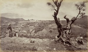  av Eadweard Muybridge
