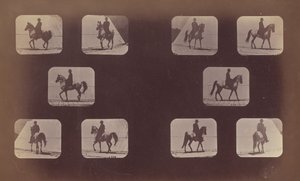 Studier av forkortninger. Hester. Går. Mahomet. nr. 119-120 av Eadweard Muybridge