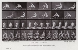 Den menneskelige figuren i bevegelse: idrettsutøver, roing (s/hvitt-bilde) av Eadweard Muybridge