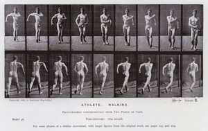 Den menneskelige figuren i bevegelse: idrettsutøver, gående (s/hvitt-bilde) av Eadweard Muybridge