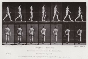 Den menneskelige figuren i bevegelse: idrettsutøver, gående (s/hvitt-bilde) av Eadweard Muybridge