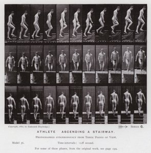 Den menneskelige figuren i bevegelse: idrettsutøver som går opp i en trapp (s/hvitt-bilde) av Eadweard Muybridge