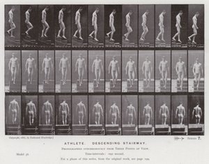 Den menneskelige figuren i bevegelse: idrettsutøver, som går ned en trapp (s/hvitt-bilde) av Eadweard Muybridge