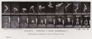 Den menneskelige figuren i bevegelse: idrettsutøver som snur en salto (s/hvitt-bilde) av Eadweard Muybridge