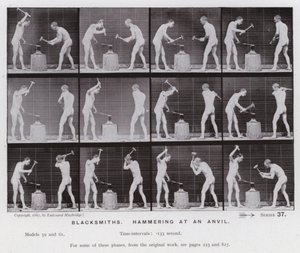 The Human Figure in Motion: Smeder, hamrer på en ambolt (s/hvitt-bilde) av Eadweard Muybridge