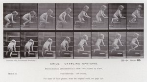 Den menneskelige figuren i bevegelse: Barn, kryper oppe (s/hvitt-bilde) av Eadweard Muybridge