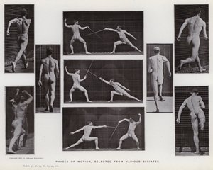 The Human Figure in Motion: Bevegelsesfaser, valgt fra forskjellige serier (s/hvitt-bilde) av Eadweard Muybridge