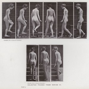 The Human Figure in Motion: Utvalgte faser fra serie 41 (s/hvitt-bilde) av Eadweard Muybridge