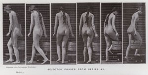 The Human Figure in Motion: Utvalgte faser fra serie 42 (s/hvitt-bilde) av Eadweard Muybridge