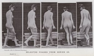 The Human Figure in Motion: Utvalgte faser fra serie 43 (s/hvitt-bilde) av Eadweard Muybridge