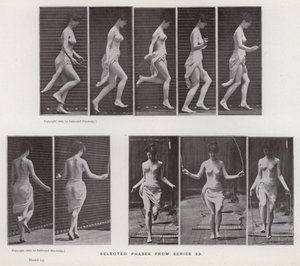 The Human Figure in Motion: Utvalgte faser fra serie 53 (s/hvitt-bilde) av Eadweard Muybridge