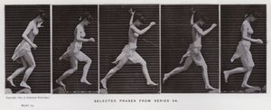 The Human Figure in Motion: Utvalgte faser fra serie 54 (s/hvitt-bilde) av Eadweard Muybridge