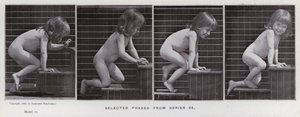 The Human Figure in Motion: Utvalgte faser fra serie 86 (s/hvitt-bilde) av Eadweard Muybridge