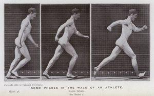 Den menneskelige figuren i bevegelse: Noen faser i en idrettsutøver (s/hvitt-bilde) av Eadweard Muybridge