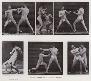 The Human Figure in Motion: Noen faser av en boksekamp (s/hvitt-bilde) av Eadweard Muybridge