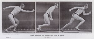 Den menneskelige figuren i bevegelse: Noen faser av å starte et løp (s/hvitt-bilde) av Eadweard Muybridge