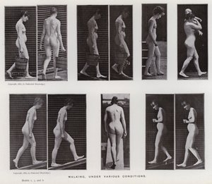 Den menneskelige figuren i bevegelse: Gå, under forskjellige forhold (s/hvitt-bilde) av Eadweard Muybridge