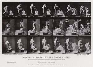 The Human Figure in Motion: Woman, et sjokk for nervesystemet (s/hv-bilde) av Eadweard Muybridge