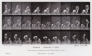 Den menneskelige figuren i bevegelse: Kvinne, mater en hund (s/hvitt-bilde) av Eadweard Muybridge