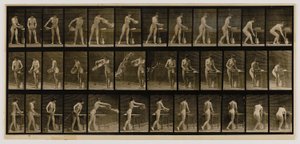  av Eadweard Muybridge
