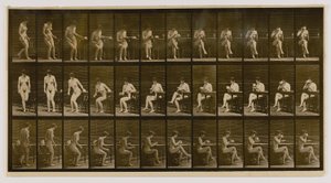  av Eadweard Muybridge