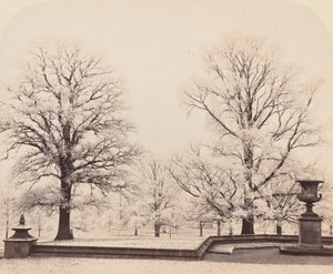 Rimfrost, en parkscene, 1862. av Earl of Caithness James Sinclair