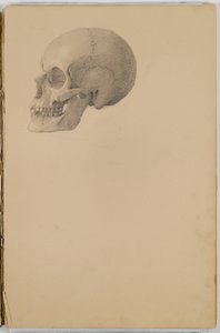 Anatomy Sketch Book, 1849 (skissebok som inneholder tegninger i grafitt)