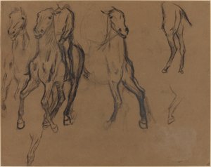 Study of Horses, ca. 1886 (kull og grafitt på brunt papir) av Edgar Degas