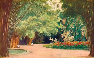 A Bamboo Grove - Botanisk hage, 1914