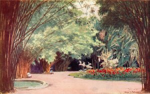 A Bamboo Grove, Botanical Gardens (farge litho)