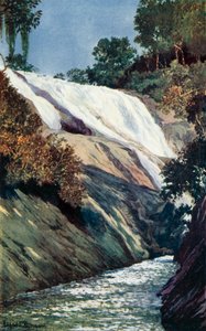 Kaskaden i Tijuca, Rio (farge litho)