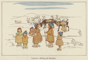 Lappland, melker reinen