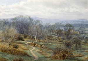 Hampstead Heath ser mot Harrow on the Hill, ca. 1880 (wc på papir) av Edith Martineau