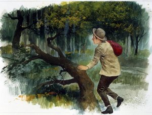 Barnelitteratur: fra Apenninene til Andesfjellene. En ung gutt alene i skogen (tegning)